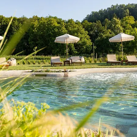 бащината стряха Resort